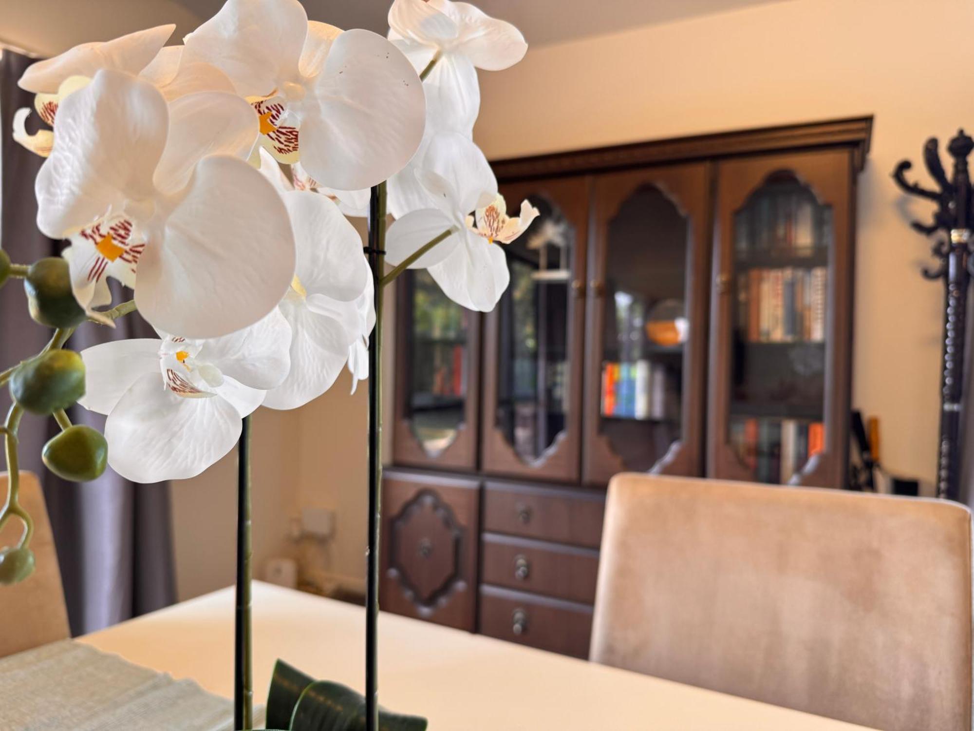 Villa Woodbank Retreat Hanmer Springs Esterno foto